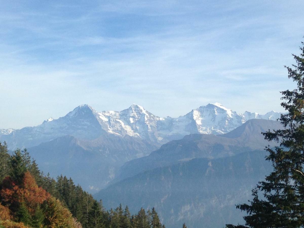 App. Seeblick Top Of Interlaken 贝阿滕贝格 外观 照片