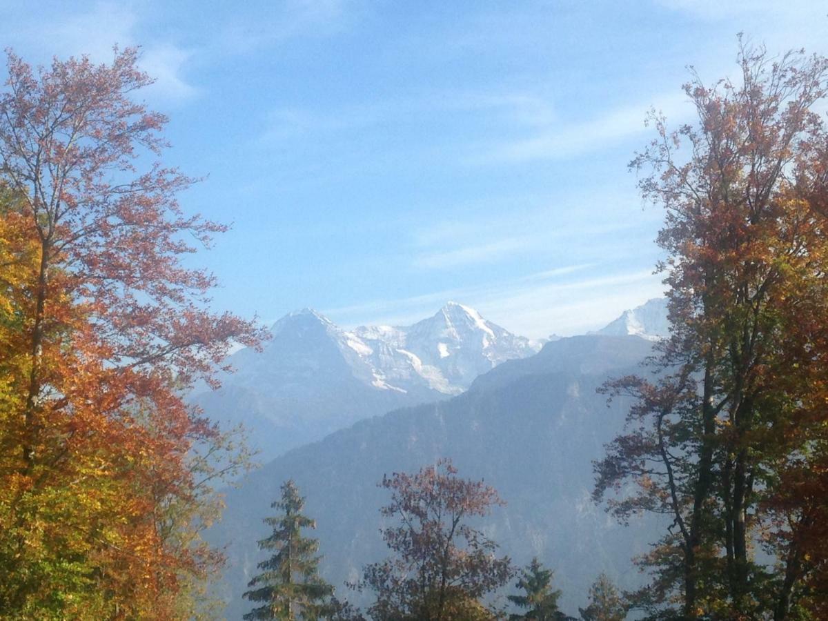 App. Seeblick Top Of Interlaken 贝阿滕贝格 外观 照片