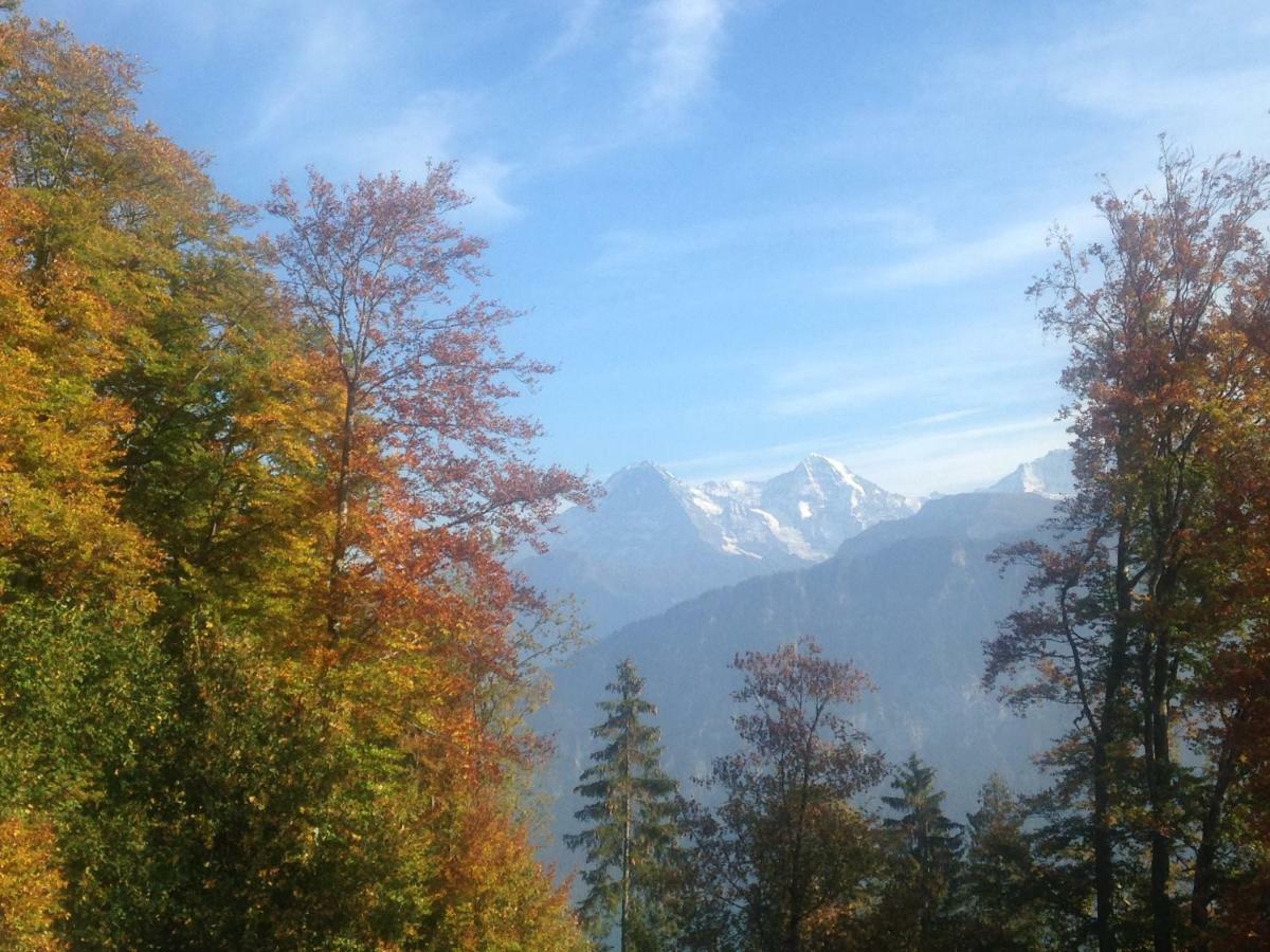 App. Seeblick Top Of Interlaken 贝阿滕贝格 外观 照片