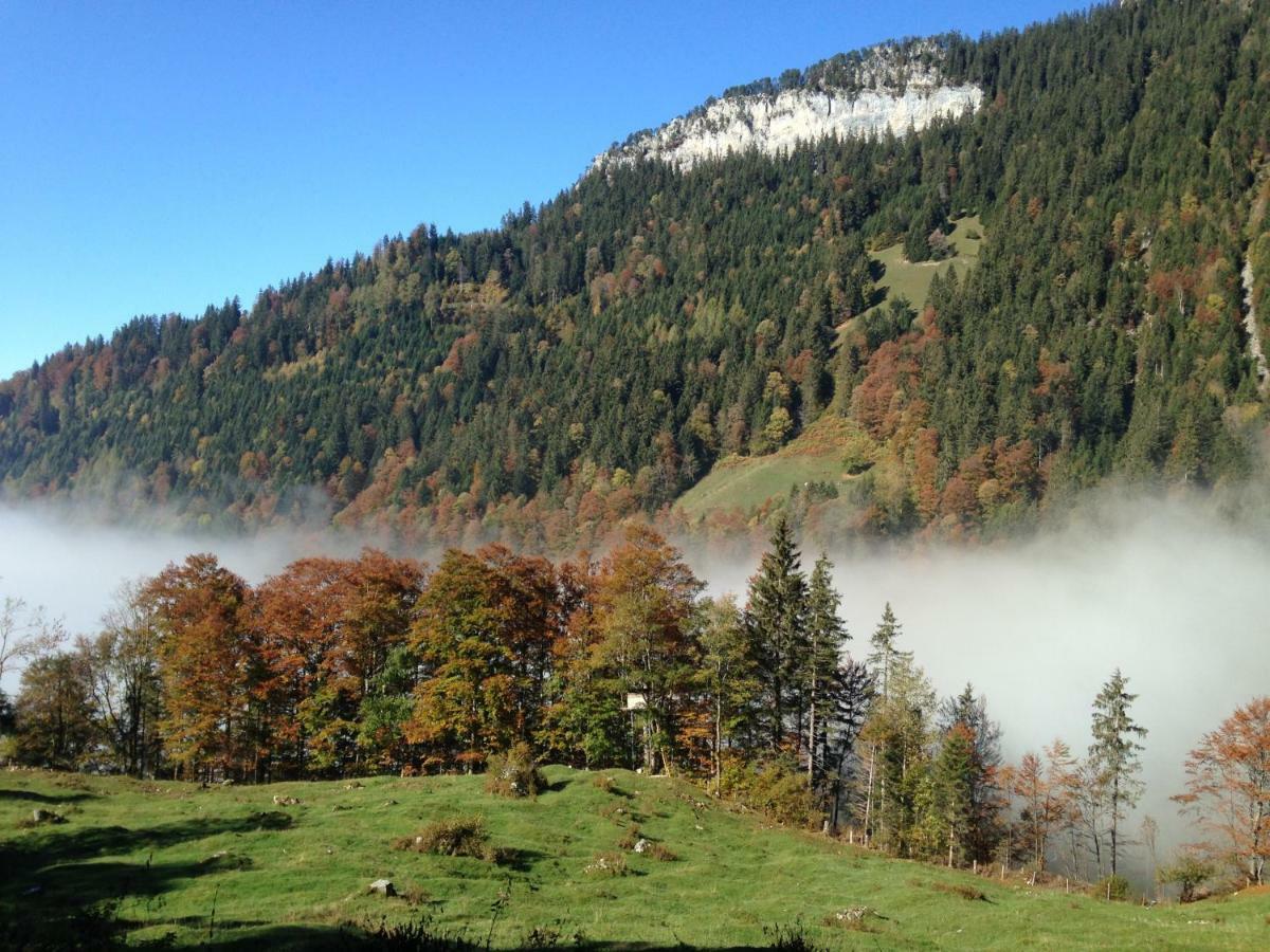App. Seeblick Top Of Interlaken 贝阿滕贝格 外观 照片