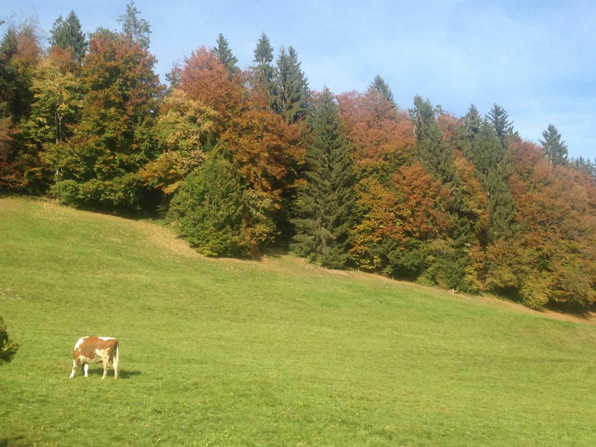 App. Seeblick Top Of Interlaken 贝阿滕贝格 外观 照片
