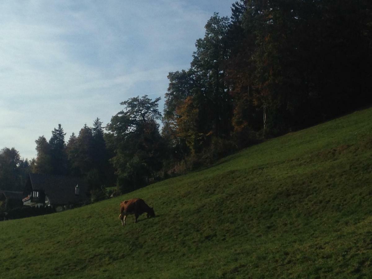 App. Seeblick Top Of Interlaken 贝阿滕贝格 外观 照片